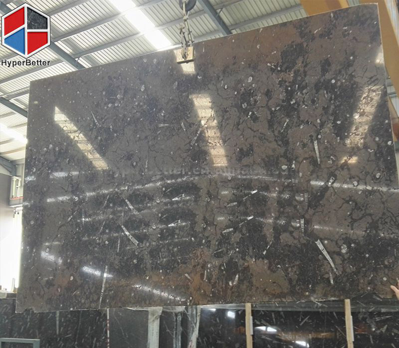 Marrocan brown fossill marble slab