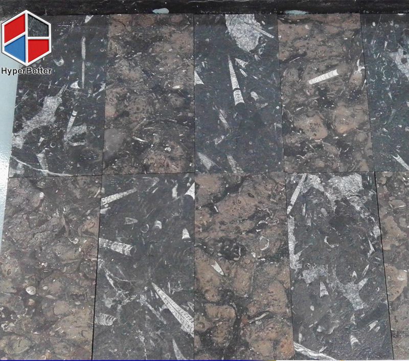 Marrocan brown mix black fossill marble slab